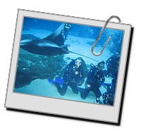 GAdive_2009_02_20_231.JPG