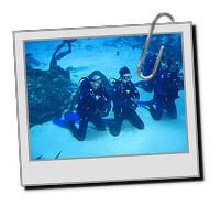 GAdive_2009_02_20_232.JPG