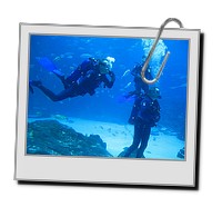 GAdive_2009_02_20_247.JPG