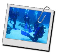 GAdive_2009_02_20_251.JPG